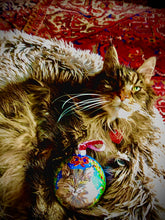 Load image into Gallery viewer, Custom 4" Christmas Ornaments! Zippy's Christmas!